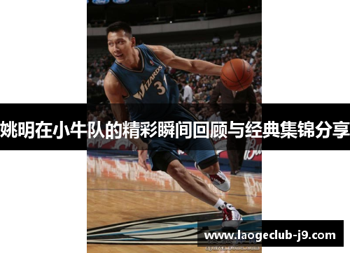 姚明在小牛队的精彩瞬间回顾与经典集锦分享
